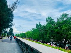 -宝安西湾红树林湿地公园