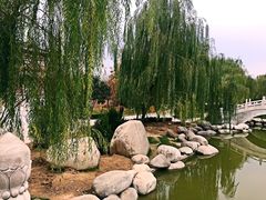 -西安青龙寺遗址景区
