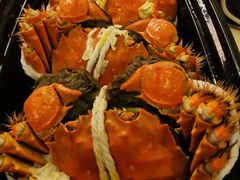 -黄记大闸蟹专卖店·活蟹·醉蟹