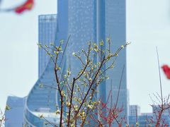 -天鹅湖体育公园