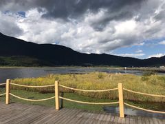-腾冲北海湿地