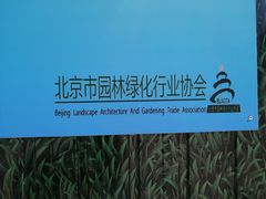 -中国宋庆龄青少年科技文化交流中心