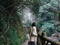 -永泰中国云顶