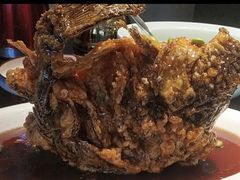 糖醋黄河鲤鱼-梅飞酒家(名辉豪庭店)