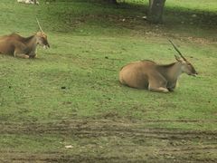 -西安秦岭野生动物园