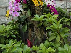 -北京植物园-展览温室