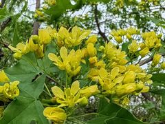 -汉长安城未央宫国家考古遗址公园