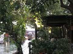 -乌镇西栅景区