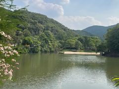 -世间香境·七溪地