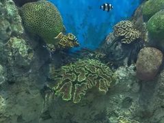 -福州罗源湾海洋世界旅游区