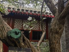 -北京鲁迅博物馆(北京新文化运动纪念馆鲁博馆区)