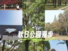 -洛阳市隋唐城遗址植物园