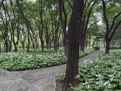 -玲珑塔公园