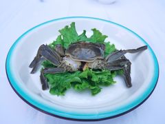 -上海老饭店(北京分店)