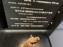 -浙江自然博物院(杭州馆)