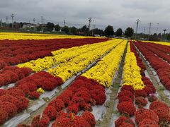 -中国天府农业博览园