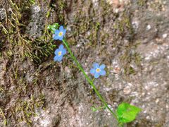 -终南山南五台景区