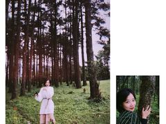 -石棉县孟获城