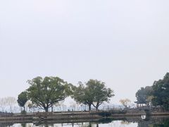 -无锡蠡湖国家湿地公园-蠡园