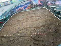 -诸城市恐龙博物馆