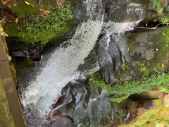 -碧峰峡风景区