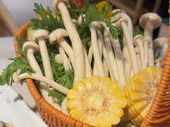 -椰子湾·海南火锅·糟粕醋·椰子鸡(正大广场店)