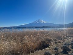 -华为授权服务中心(欧富商业广场)