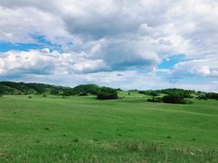 -塞罕坝国家级自然保护区