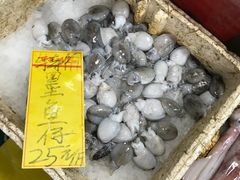 -鸿达渔港