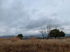 -良渚古城遗址公园