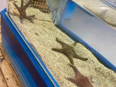 -上海海洋水族馆