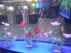 -中环花鸟鱼虫市场