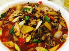 大盘鸡-马黑哥椒麻鸡(清江山水店)