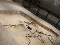 -洛阳周王城天子驾六博物馆