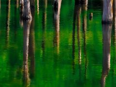 -白鹭湾湿地公园