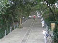 -上海佘山国家森林公园西佘山园