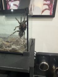 -HEY!TATTOO·嘿刺青