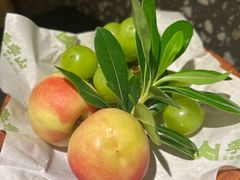 -季季山·云南野生菌火锅(上海首店)