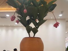 -第六季自助餐厅(甜水园店)