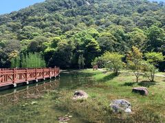 -广州市石门国家森林公园
