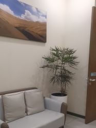 点击看大图 -北京米扬丽格医疗美容·联合丽格鼻整形中心