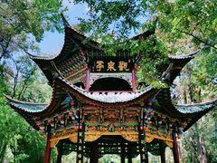 -蝴蝶泉公园