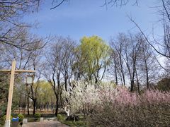 -洛阳市隋唐城遗址植物园