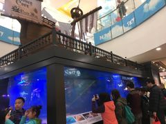 -凯德广场(学府店)