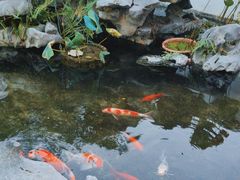 -道南書院·私房菜·早午茶·茶馆