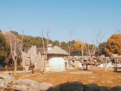 -常州淹城野生动物世界