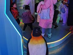-保利MALL(天鹅湖店)