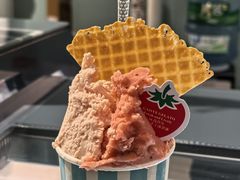 -高汐尔手工鲜冰淇淋(恒隆广场店)