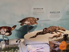 -中国湿地博物馆