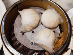 -糖朝(尖沙咀店)